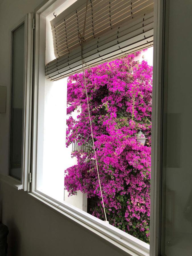 Centric Townhouse Cadaques - Casa Voltes - Villa Eksteriør bilde